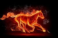 pic for Fiery Horse 